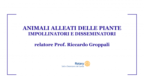 Animali alleati delle piante